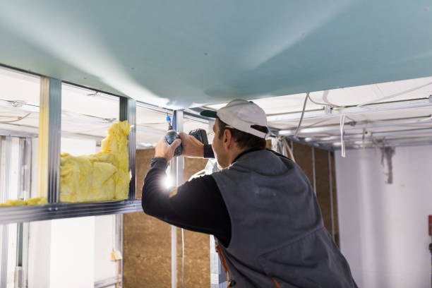 Best Residential Insulation in Deland, FL