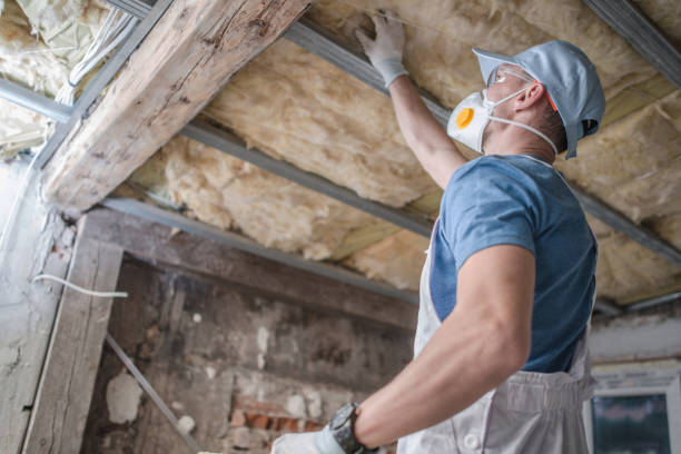 Best Specialized Insulation Services in Deland, FL