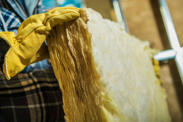 Types of Insulation We Offer in Deland, FL