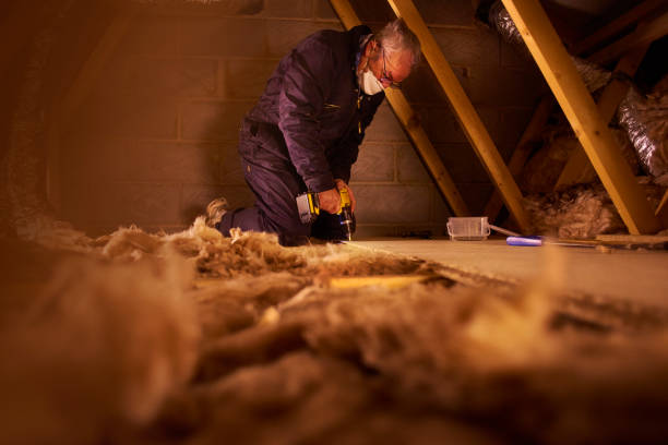 Best Eco-Friendly Insulation in Deland, FL