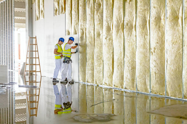 Best Energy Efficiency Insulation in Deland, FL